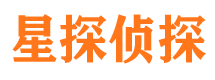 彭山侦探公司